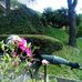 Profile Picture of Silvana Diligenti (@silvana.diligenti.98) on Facebook