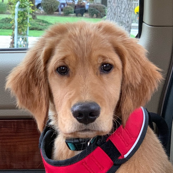 Profile Picture of Maggie Dolak (@mdolak) on Poshmark