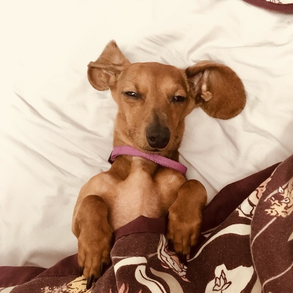 Kenny Reynolds - Poshmark Profile Picture of Kenny Reynolds (@kenny_reynolds) on Poshmark