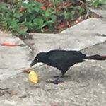 Profile Picture of Micah Reeves (@nihilist.micah) on Instagram