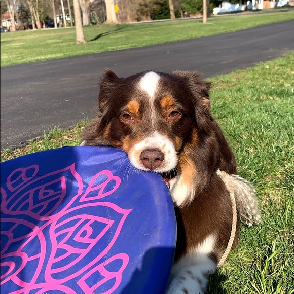 Profile Picture of Kimora Heinrich (@kheinrichh) on Poshmark