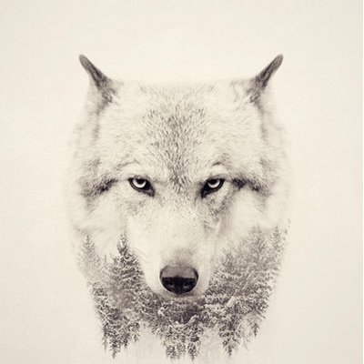 Profile Picture of Dustin Schumann (@godnschu_schu) on Twitter