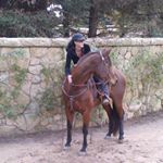 Profile Picture of Robin A. Common (@robincommon) on Instagram