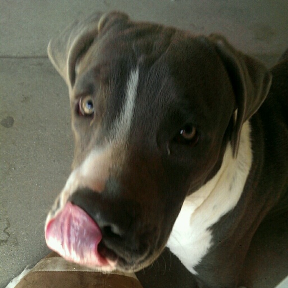 Stephanie Jade - Poshmark Profile Picture of Stephanie Jade (@stephanie_4200) on Poshmark