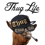 Profile Picture of Thug Life😎 (@rizzikevin) on Instagram