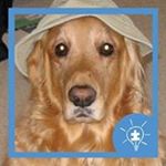 Profile Picture of Joseph Oxley (@oxley76) on Instagram