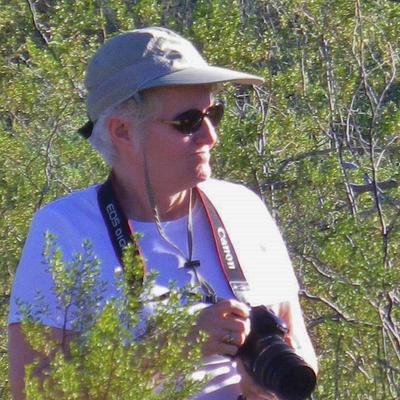 Profile Picture of Bev Mazurick (@BMazurick) on Twitter