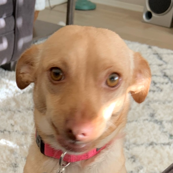 Greg Slater - Poshmark Profile Picture of Greg Slater (@zzpapa) on Poshmark