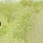 Kylie Dolan - Instagram Profile Picture of Kylie Dolan (@kyliedolan25) on Instagram