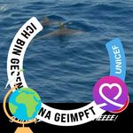 Profile Picture of Peter Reiss (@klauspeterreiss) on Instagram