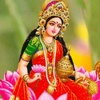 Profile Picture of Niraj Patel (@@niraj42623739) on Tiktok