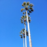 Profile Picture of Brian Sherry (@brian-sherry-1) on Quora