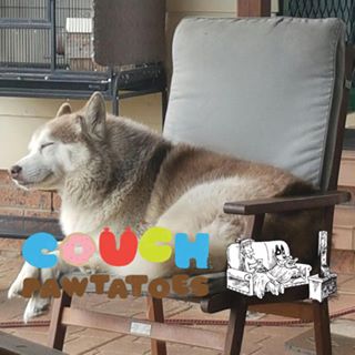 Profile Picture of Tina Louise Dalton Widdows (Dalton) (@tina.widdows.1971) on Facebook