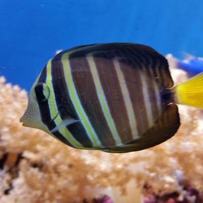 Profile Picture of Antonio.jo Machado. (@antonio15276275) on Twitter