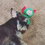 Profile Picture of Dawn Tupper (@dawn.tupper) on Instagram