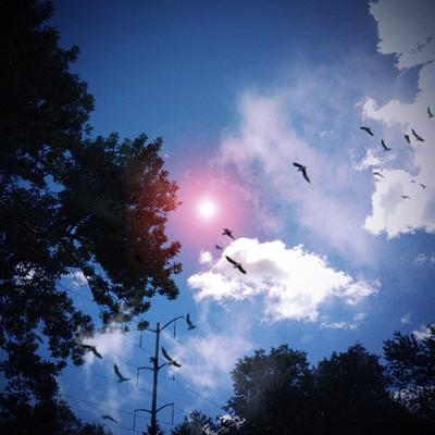 Profile Picture of Phyllis Mccall (@delightfulhu82) on Twitter