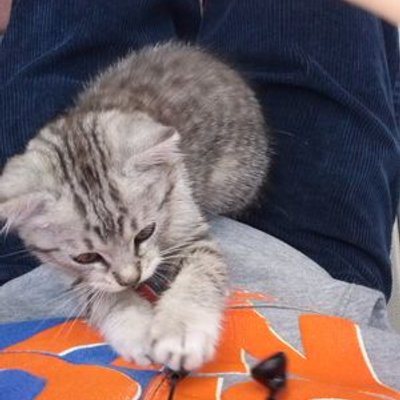 Profile Picture of Adam Piwoński (@marxo571) on Twitter