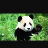 Profile Picture of brandyline (@@brandyline2007123) on Tiktok