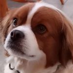 Profile Picture of Marion Scott Lemay (@lemay1mm) on Instagram