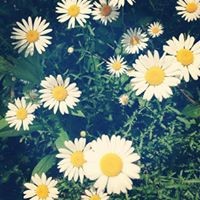 Profile Picture of Rebekah Brianne Morgan (@rebekah-brianne-morgan) on Quora