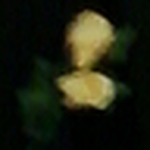 Profile Picture of Robin Barber (@robin_barber90) on Flickr