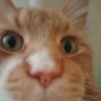 Profile Picture of David Rakowski (@david.rakowski.7528) on Facebook