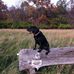 Profile Picture of Jon Hustedt (@jon.hustedt.3) on Facebook