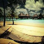 Profile Picture of Gabriel Stephenson (@gabriel0314) on Instagram