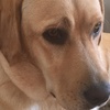Profile Picture of James Gane21 (@@jamesgane21) on Tiktok