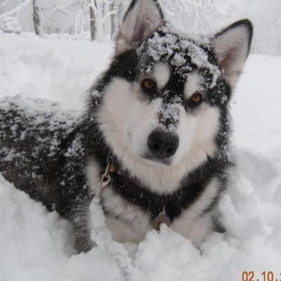 Profile Picture of Joyce McBride (@jlmcb55) on Twitter