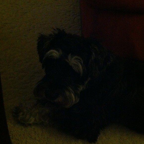 Profile Picture of Dawn Billotte (@sleepin) on Poshmark