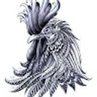 Profile Picture of Chris Pedigo (@chris-pedigo-8) on Quora