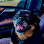 Profile Picture of Debbie Speed (@debbie.speed.2025) on Facebook