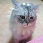 Profile Picture of 마인트리목공방 (@mine_trees) on Instagram