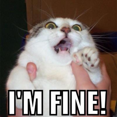 Profile Picture of Chris Swords (@cgswords) on Twitter