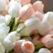 Profile Picture of Crystal.Devries UpperThames (@crystaldevriesu) on Pinterest