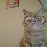 Profile Picture of Daniel Yeoman (@ikuwi.daniel) on Instagram