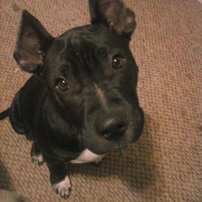 Profile Picture of Seth C Galloway (@5ether) on Twitter