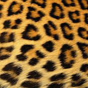 Profile Picture of Shelly Ann Baisden (@shellyannbaisden3027) on Youtube