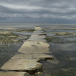 Profile Picture of Kevin Anderson (@TheZanzibar11) on Flickr