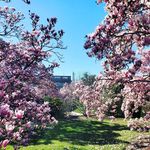 Profile Picture of Melanie Lynskey (@lakeannagirl77) on Instagram