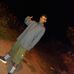 Profile Picture of Fernando Ambriz (@fernando.ambriz.98434) on Facebook