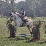 Jocelyn Moore - Instagram Profile Picture of Jocelyn Moore (@jocelyn_torcolini) on Instagram