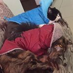 Profile Picture of Pandora e José Alfredo (@pandoraeze) on Instagram