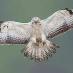 Profile Picture of Eric Van Hoey (@vanhoeyeric) on Instagram