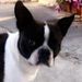 Profile Picture of Paula Cuevas (@cuevas6097) on Pinterest