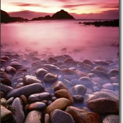 Profile Picture of Xin Qi (@xinqi100) on Twitter