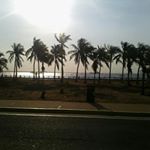 Profile Picture of rogelio suarez (@rogeliosuarezrivas) on Instagram