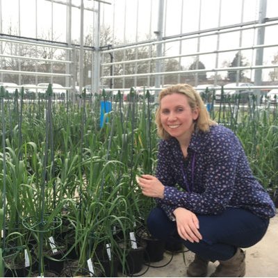 Profile Picture of Stella Edwardson Twitter