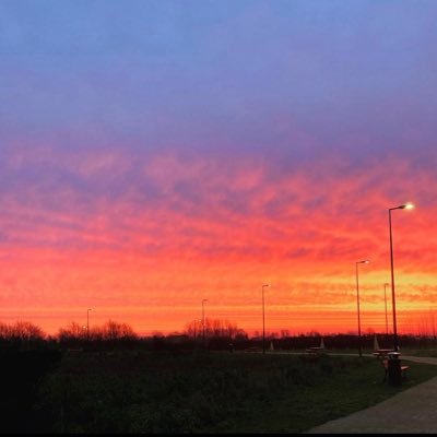 Profile Picture of Troy Smart (@TSmart2667) on Twitter